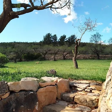 Charming Surrounded By Nature *